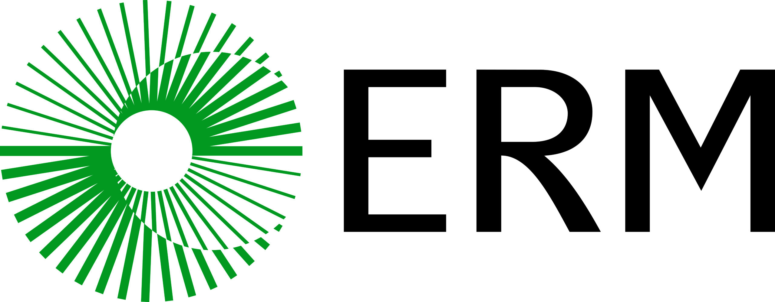 ERM_Logo_Horizontal_Green_CMYK